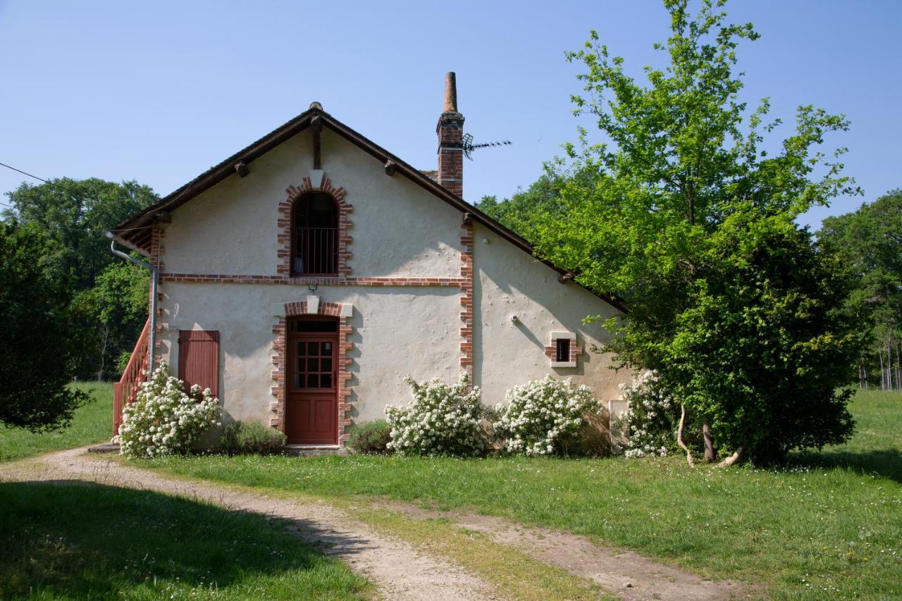Domaine De La Trigaliere Villa Ambillou Eksteriør bilde